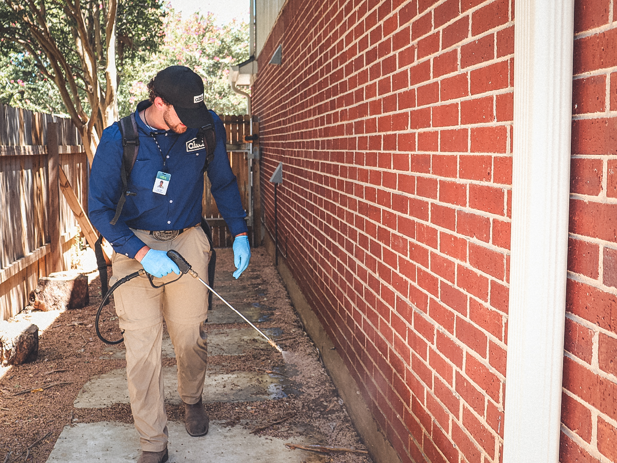 Residential pest control service